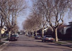 San Mateo